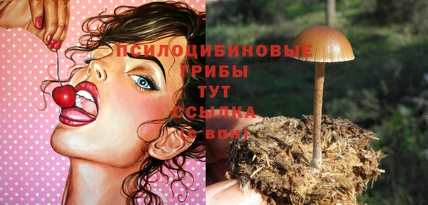 mdma Новозыбков