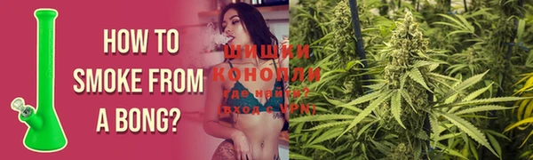 mdma Новозыбков